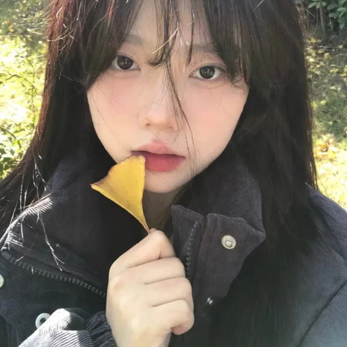 荷索之秘境梦游